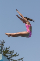 Thumbnail - Carlotta - Diving Sports - 2017 - Trofeo Niccolo Campo - Participants - Italien - Girls C 03013_03755.jpg