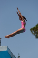 Thumbnail - Carlotta - Plongeon - 2017 - Trofeo Niccolo Campo - Participants - Italien - Girls C 03013_03761.jpg