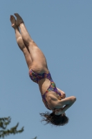 Thumbnail - Erica - Diving Sports - 2017 - Trofeo Niccolo Campo - Participants - Italien - Girls C 03013_03852.jpg