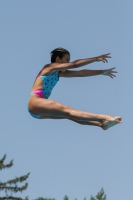 Thumbnail - Arianna - Diving Sports - 2017 - Trofeo Niccolo Campo - Participants - Italien - Girls C 03013_03865.jpg