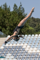 Thumbnail - Alessandra F - Diving Sports - 2017 - Trofeo Niccolo Campo - Participants - Italien - Girls C 03013_03881.jpg