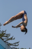 Thumbnail - Alessandra C - Diving Sports - 2017 - Trofeo Niccolo Campo - Participants - Italien - Girls C 03013_04066.jpg