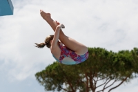 Thumbnail - Girls A - Anne Sofie Moe Holm - Diving Sports - 2017 - Trofeo Niccolo Campo - Participants - Norway 03013_04539.jpg
