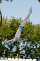 Thumbnail - Boys C - Quinn - Прыжки в воду - 2017 - Trofeo Niccolo Campo - Participants - Great Britain 03013_06366.jpg