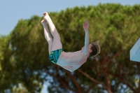 Thumbnail - Boys C - Quinn - Прыжки в воду - 2017 - Trofeo Niccolo Campo - Participants - Great Britain 03013_06744.jpg