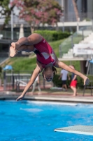 Thumbnail - Valentina - Прыжки в воду - 2017 - Trofeo Niccolo Campo - Participants - Italien - Girls C 03013_07890.jpg