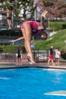 Thumbnail - Valentina - Прыжки в воду - 2017 - Trofeo Niccolo Campo - Participants - Italien - Girls C 03013_07915.jpg