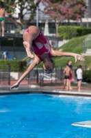 Thumbnail - Valentina - Plongeon - 2017 - Trofeo Niccolo Campo - Participants - Italien - Girls C 03013_07977.jpg