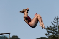Thumbnail - Girls A - Anne Sofie Moe Holm - Diving Sports - 2017 - Trofeo Niccolo Campo - Participants - Norway 03013_08020.jpg