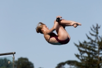 Thumbnail - Girls A - Anne Sofie Moe Holm - Diving Sports - 2017 - Trofeo Niccolo Campo - Participants - Norway 03013_08021.jpg