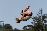 Thumbnail - Girls A - Anne Sofie Moe Holm - Diving Sports - 2017 - Trofeo Niccolo Campo - Participants - Norway 03013_08022.jpg