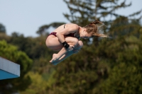 Thumbnail - Girls A - Anne Sofie Moe Holm - Diving Sports - 2017 - Trofeo Niccolo Campo - Participants - Norway 03013_08025.jpg