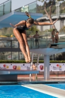 Thumbnail - Alessandra F - Diving Sports - 2017 - Trofeo Niccolo Campo - Participants - Italien - Girls C 03013_08209.jpg