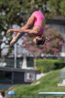 Thumbnail - Valentina - Plongeon - 2017 - Trofeo Niccolo Campo - Participants - Italien - Girls C 03013_08235.jpg