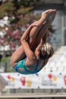 Thumbnail - Arianna - Plongeon - 2017 - Trofeo Niccolo Campo - Participants - Italien - Girls C 03013_08368.jpg