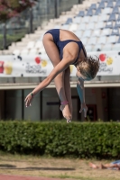 Thumbnail - Greta - Plongeon - 2017 - Trofeo Niccolo Campo - Participants - Italien - Girls C 03013_08411.jpg