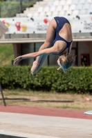 Thumbnail - Greta - Diving Sports - 2017 - Trofeo Niccolo Campo - Participants - Italien - Girls C 03013_08413.jpg