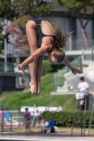 Thumbnail - Alessandra F - Прыжки в воду - 2017 - Trofeo Niccolo Campo - Participants - Italien - Girls C 03013_08591.jpg