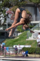 Thumbnail - Alessandra F - Plongeon - 2017 - Trofeo Niccolo Campo - Participants - Italien - Girls C 03013_08592.jpg