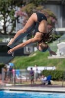 Thumbnail - Alessandra F - Прыжки в воду - 2017 - Trofeo Niccolo Campo - Participants - Italien - Girls C 03013_08593.jpg