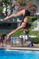 Thumbnail - Alessandra F - Прыжки в воду - 2017 - Trofeo Niccolo Campo - Participants - Italien - Girls C 03013_08594.jpg