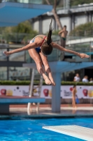 Thumbnail - Zoe - Diving Sports - 2017 - Trofeo Niccolo Campo - Participants - Italien - Girls C 03013_08795.jpg