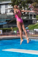 Thumbnail - Valentina - Diving Sports - 2017 - Trofeo Niccolo Campo - Participants - Italien - Girls C 03013_08955.jpg