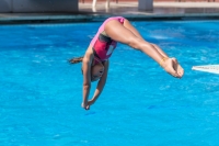 Thumbnail - Valentina - Diving Sports - 2017 - Trofeo Niccolo Campo - Participants - Italien - Girls C 03013_08960.jpg