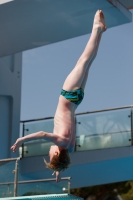 Thumbnail - Boys C - Quinn - Прыжки в воду - 2017 - Trofeo Niccolo Campo - Participants - Great Britain 03013_09319.jpg
