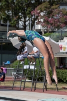 Thumbnail - Teresa - Прыжки в воду - 2017 - Trofeo Niccolo Campo - Participants - Italien - Girls C 03013_09351.jpg