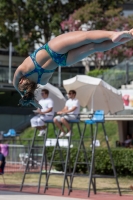Thumbnail - Teresa - Прыжки в воду - 2017 - Trofeo Niccolo Campo - Participants - Italien - Girls C 03013_09352.jpg