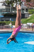 Thumbnail - Valentina - Diving Sports - 2017 - Trofeo Niccolo Campo - Participants - Italien - Girls C 03013_09417.jpg