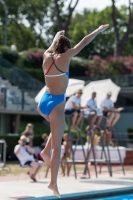 Thumbnail - Zoe - Wasserspringen - 2017 - Trofeo Niccolo Campo - Teilnehmer - Italien - Girls C 03013_09625.jpg