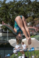 Thumbnail - Angelica - Diving Sports - 2017 - Trofeo Niccolo Campo - Participants - Italien - Girls C 03013_09987.jpg