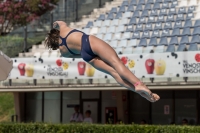 Thumbnail - Greta - Diving Sports - 2017 - Trofeo Niccolo Campo - Participants - Italien - Girls C 03013_10014.jpg