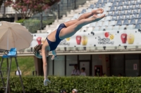 Thumbnail - Greta - Diving Sports - 2017 - Trofeo Niccolo Campo - Participants - Italien - Girls C 03013_10016.jpg