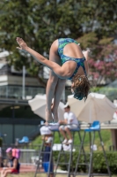 Thumbnail - Teresa - Прыжки в воду - 2017 - Trofeo Niccolo Campo - Participants - Italien - Girls C 03013_10041.jpg