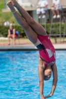 Thumbnail - Valentina - Diving Sports - 2017 - Trofeo Niccolo Campo - Participants - Italien - Girls C 03013_10083.jpg