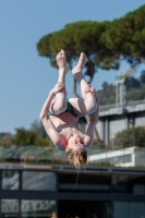 Thumbnail - Boys C - Quinn - Diving Sports - 2017 - Trofeo Niccolo Campo - Participants - Great Britain 03013_14120.jpg