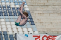 Thumbnail - Boys C - Quinn - Diving Sports - 2017 - Trofeo Niccolo Campo - Participants - Great Britain 03013_14640.jpg