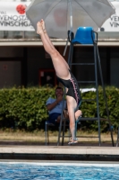 Thumbnail - Girls C - Stella - Прыжки в воду - 2017 - Trofeo Niccolo Campo - Participants - France 03013_14798.jpg