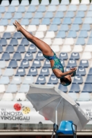 Thumbnail - Arianna - Diving Sports - 2017 - Trofeo Niccolo Campo - Participants - Italien - Girls C 03013_14956.jpg