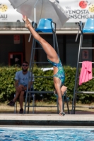 Thumbnail - Arianna - Plongeon - 2017 - Trofeo Niccolo Campo - Participants - Italien - Girls C 03013_14959.jpg