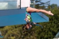 Thumbnail - Zoe - Plongeon - 2017 - Trofeo Niccolo Campo - Participants - Italien - Girls C 03013_15000.jpg