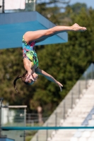 Thumbnail - Zoe - Plongeon - 2017 - Trofeo Niccolo Campo - Participants - Italien - Girls C 03013_15001.jpg