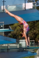 Thumbnail - Francesca - Diving Sports - 2017 - Trofeo Niccolo Campo - Participants - Italien - Girls C 03013_15030.jpg