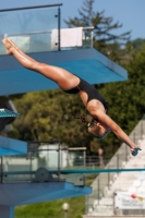 Thumbnail - Alessandra F - Diving Sports - 2017 - Trofeo Niccolo Campo - Participants - Italien - Girls C 03013_15064.jpg