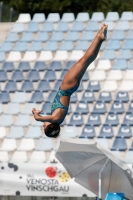 Thumbnail - Italien - Girls C - Diving Sports - 2017 - Trofeo Niccolo Campo - Participants 03013_15347.jpg