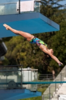 Thumbnail - Zoe - Plongeon - 2017 - Trofeo Niccolo Campo - Participants - Italien - Girls C 03013_15397.jpg