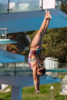 Thumbnail - Italien - Girls C - Diving Sports - 2017 - Trofeo Niccolo Campo - Participants 03013_15425.jpg